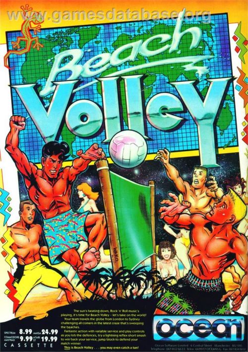 Beach Volley game thumb