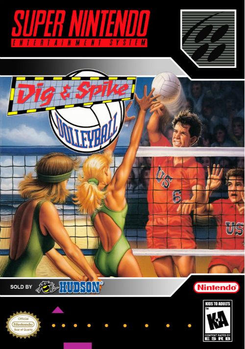 Dig & Spike Volleyball game thumb