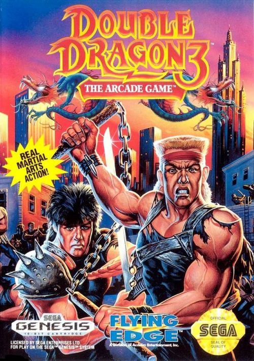 Double Dragon 3 - The Arcade Game game thumb