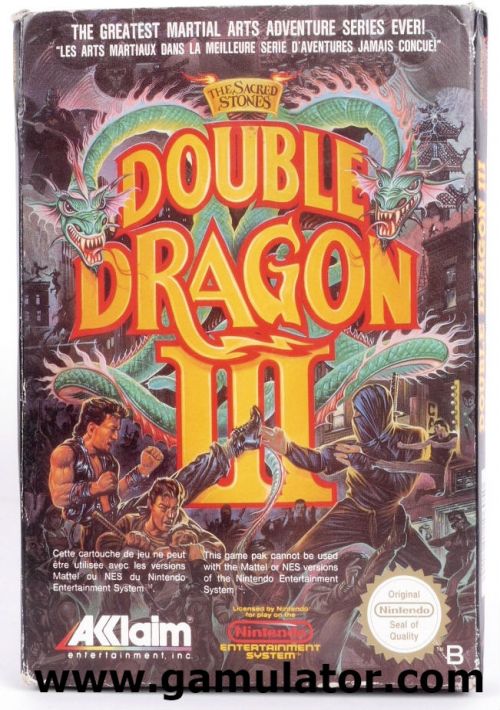 Double Dragon III - The Sacred Stones game thumb