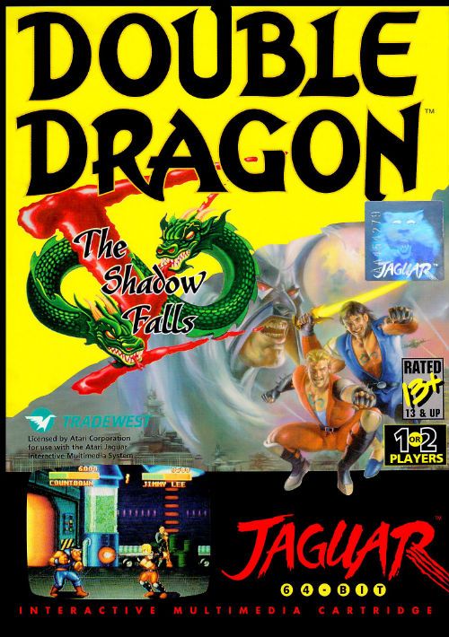 Double Dragon V - The Shadow Falls game thumb