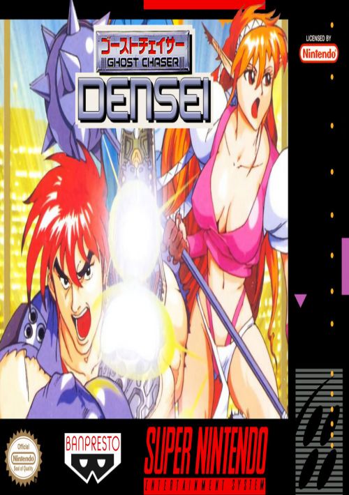 Ghost Chaser Densei game thumb