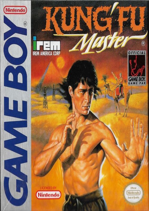 Kung-Fu Master game thumb