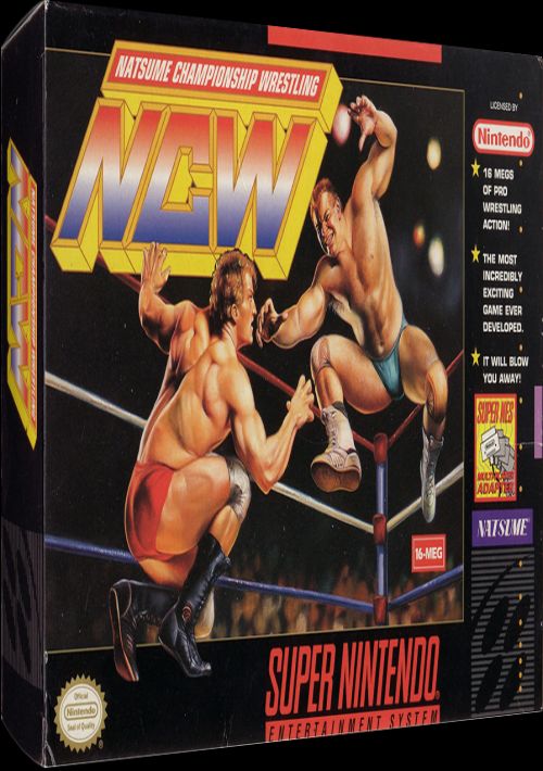 Natsume Championship Wrestling game thumb