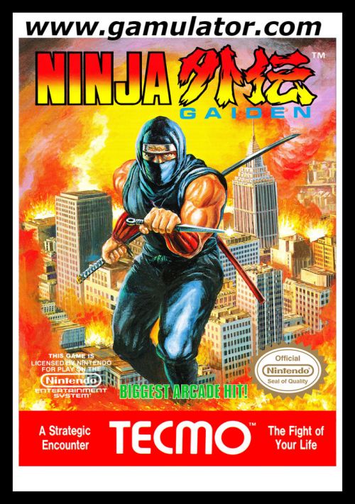 Ninja Gaiden game thumb