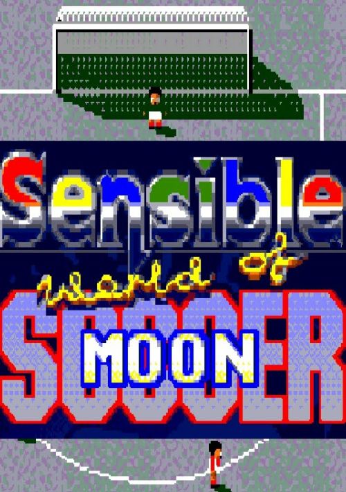 Sensible World Of Moon Soccer game thumb