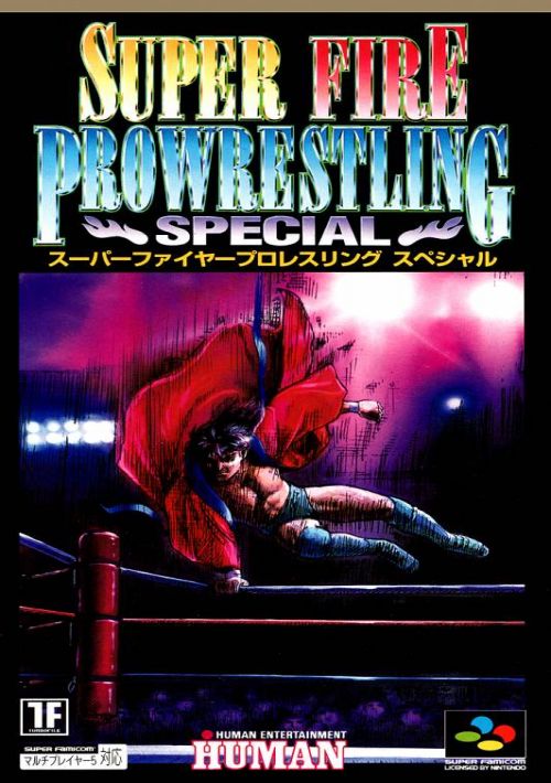 Super Fire Pro Wrestling Special game thumb