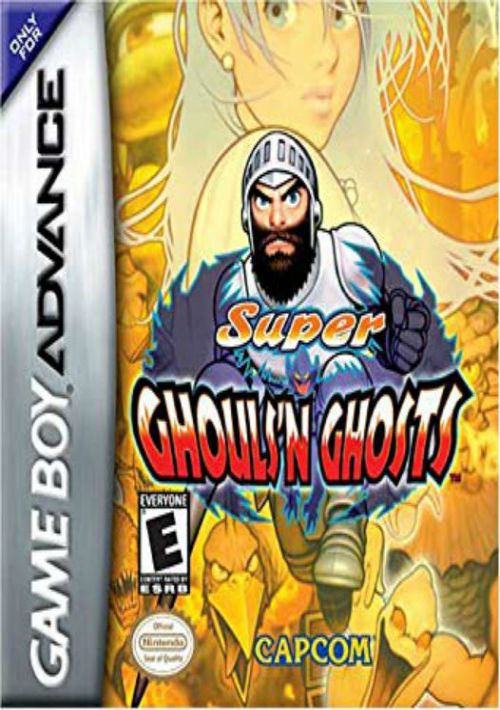 Super Ghouls 'N Ghosts game thumb