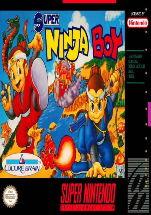  Super Ninja Boy game thumb