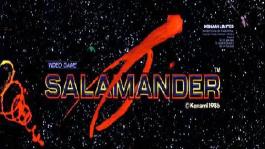 Salamander (version D) game