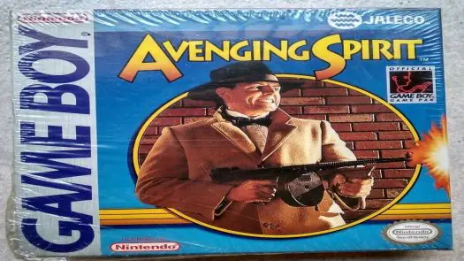 Avenging Spirit game