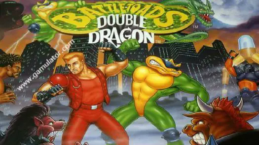 Battletoads & Double Dragon - The Ultimate Team game