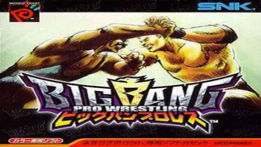 Big Bang Pro Wrestling game