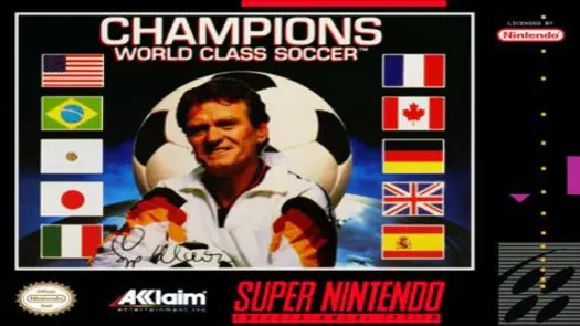 Championship Soccer '94 game