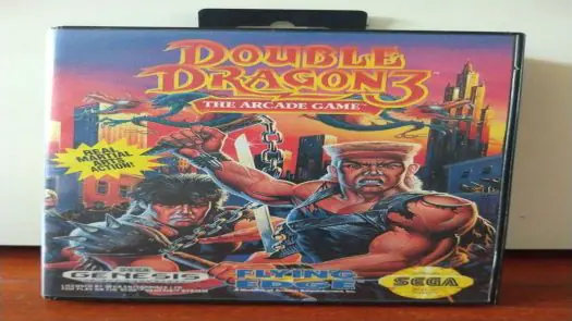 Double Dragon 3 - The Arcade Game game