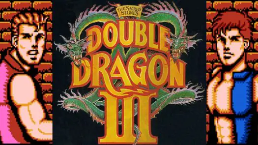 Double Dragon 3 - The Sacred Stones [T-Span1.0] game