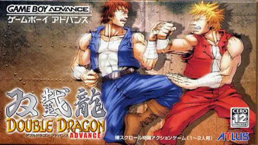 Double Dragon Advance game