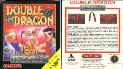 Double Dragon game