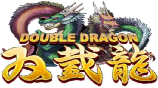 Double Dragon game