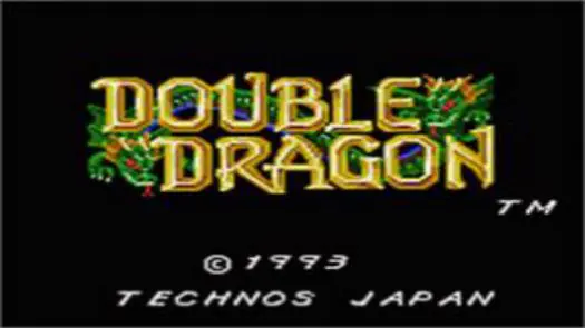 Double Dragon game