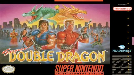 Double Dragon game