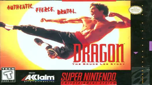 Dragon - The Bruce Lee Story game
