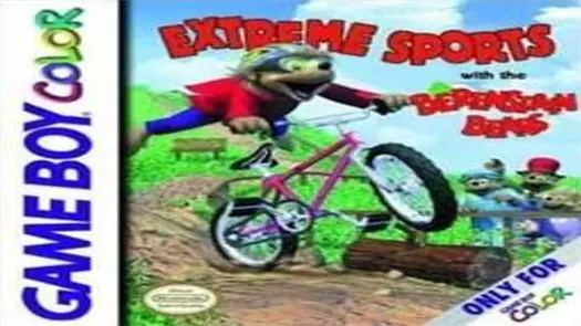 Extreme Sports With The Berenstain Bears game