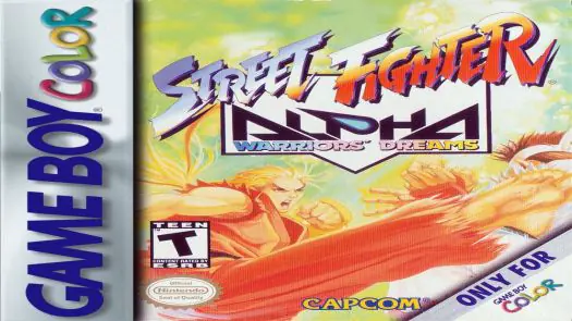 Street Fighter Alpha - Warriors' Dreams game