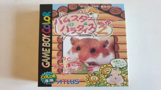 Hamster Paradise 2 game