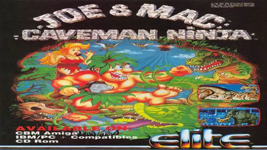 Joe & Mac - Caveman Ninja_Disk0 game