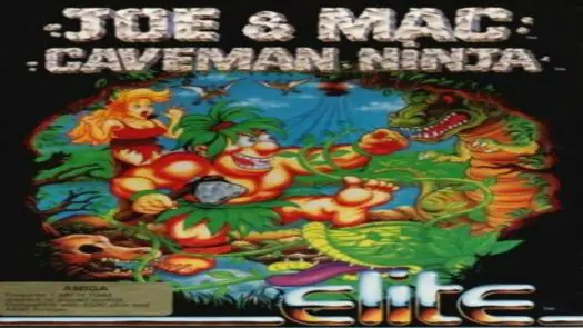 Joe & Mac - Caveman Ninja_Disk2 game