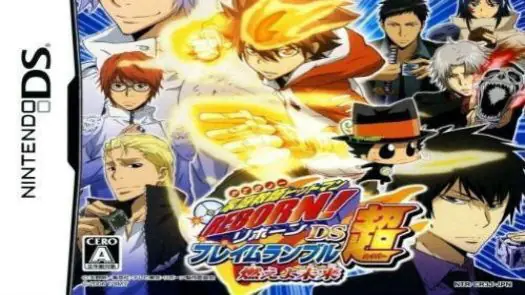 Katekyoo Hitman Reborn! DS Flame Rumble Gaikyoushuu (J) game