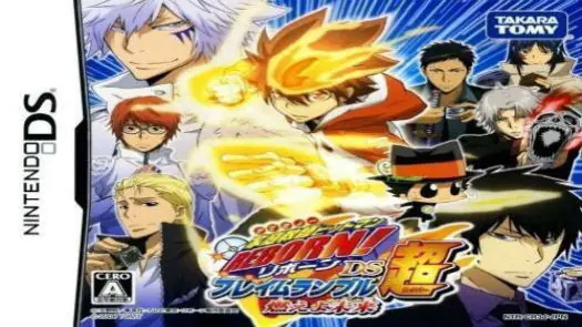 Katekyoo Hitman Reborn! DS - Flame Rumble Hyper - Moeyo Mirai game