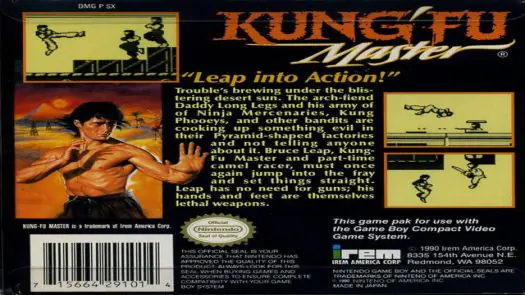 Kung-Fu Master game