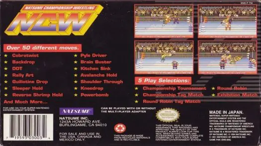 Natsume Championship Wrestling game