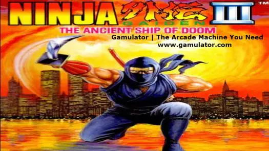 Ninja Gaiden 3 - The Ancient Ship Of Doom (PC10) game