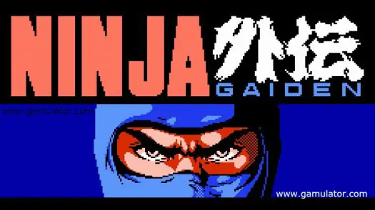 Ninja Gaiden game