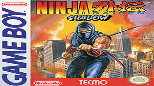 Ninja Gaiden Shadow game