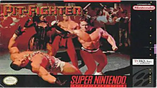  Pit Fighter game