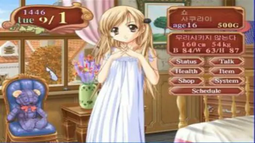 Princess Maker 4 - Special Edition (KS)(Independent) game