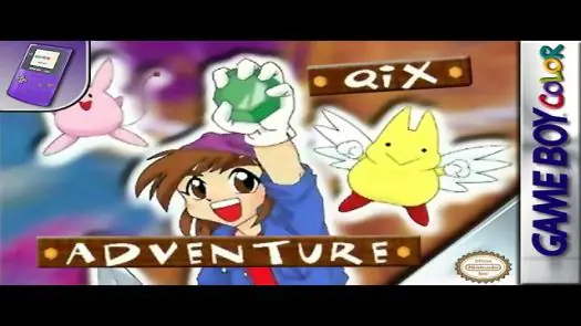 Qix Adventure game