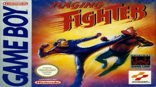 Raging Fighter game