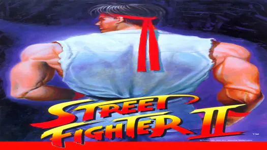 Street Fighter II - The World Warrior (bootleg) game