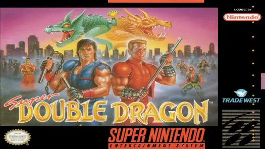 Super Double Dragon game