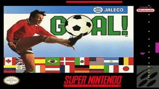 Super Goal! game