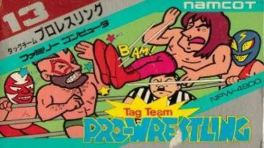 Tag Team Wrestling game