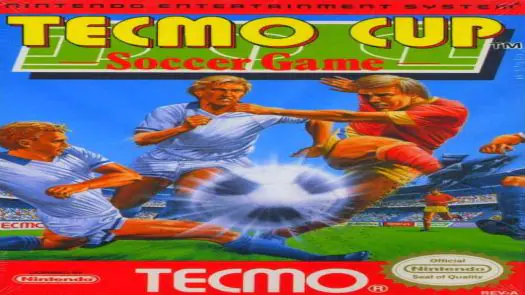 Tecmo Cup - Soccer Game game