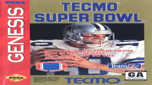 Tecmo Super Bowl game