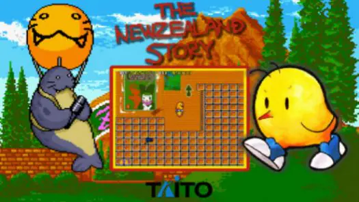 The NewZealand Story game