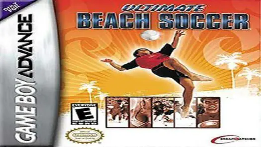 Ultimate Beach Soccer game